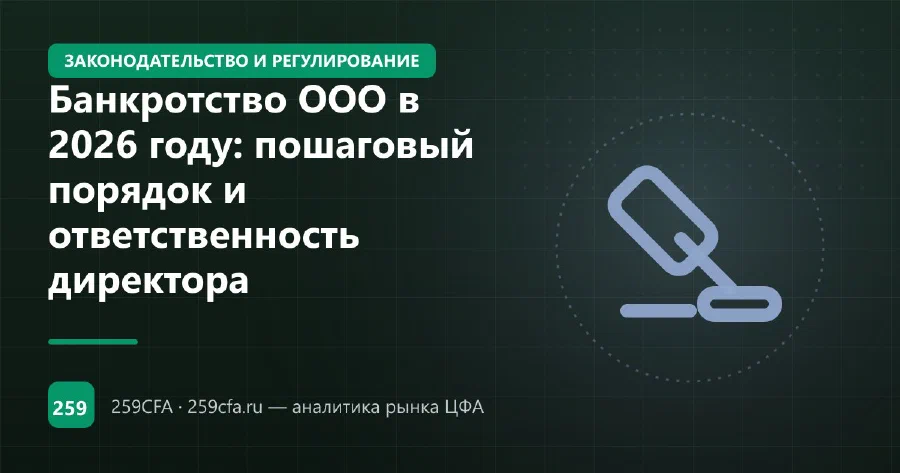Банкротство ООО в 2026 году: пошаговый порядок и ответственность директора