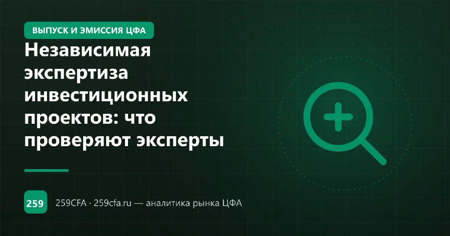 Независимая экспертиза инвестиционных проектов: что проверяют эксперты